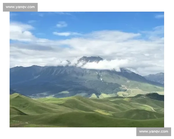 足球赛制全解析：联赛与杯赛的运作机制与竞争特点 - 副本 - 副本 - 副本 - 副本